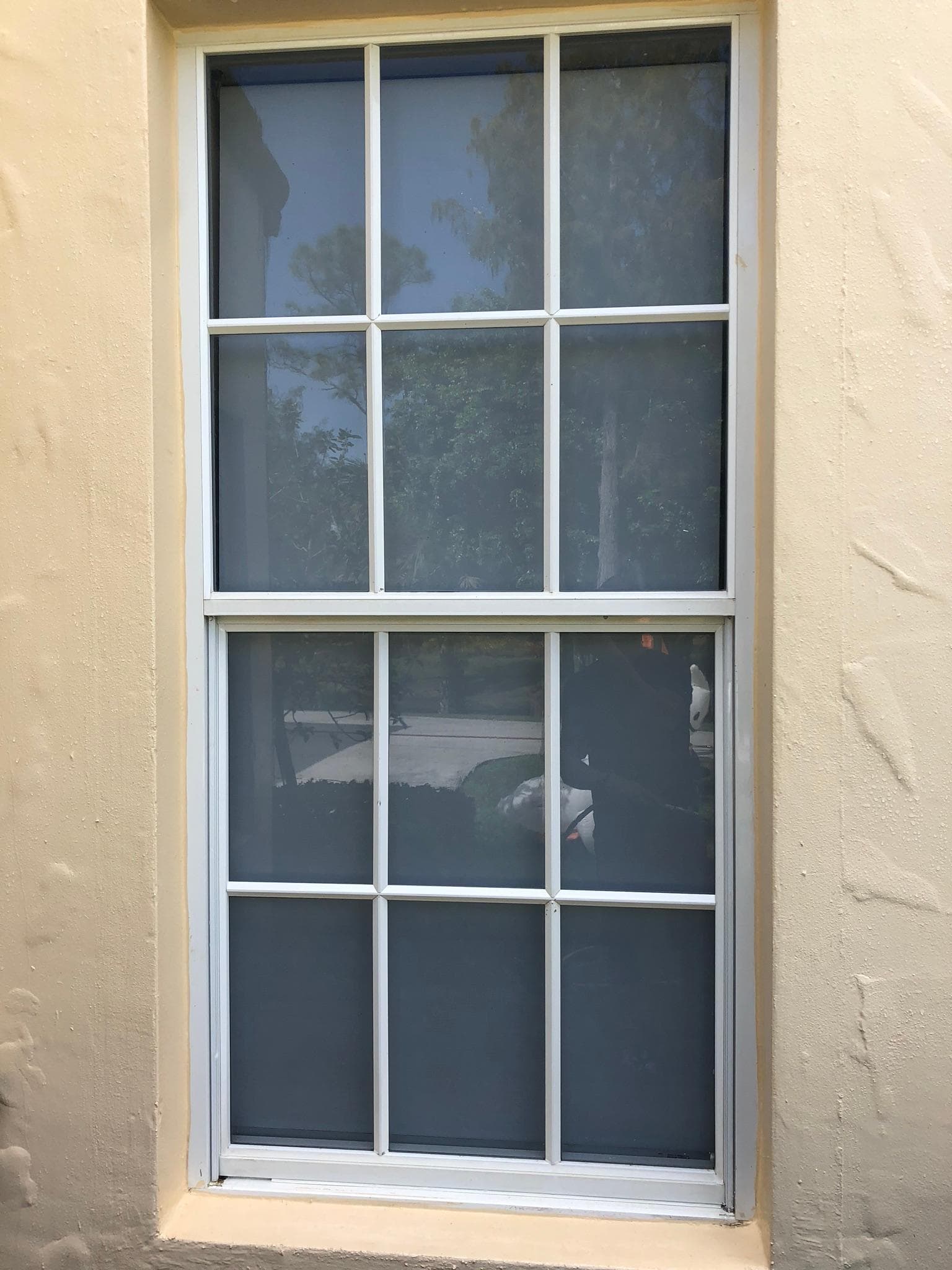 window cleaning tequesta