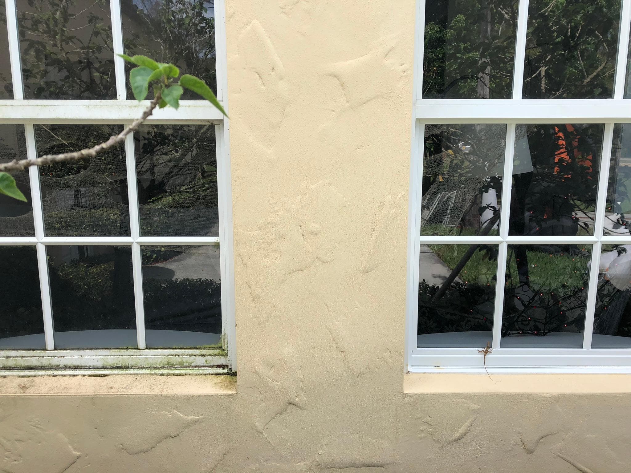 window washing jupiter